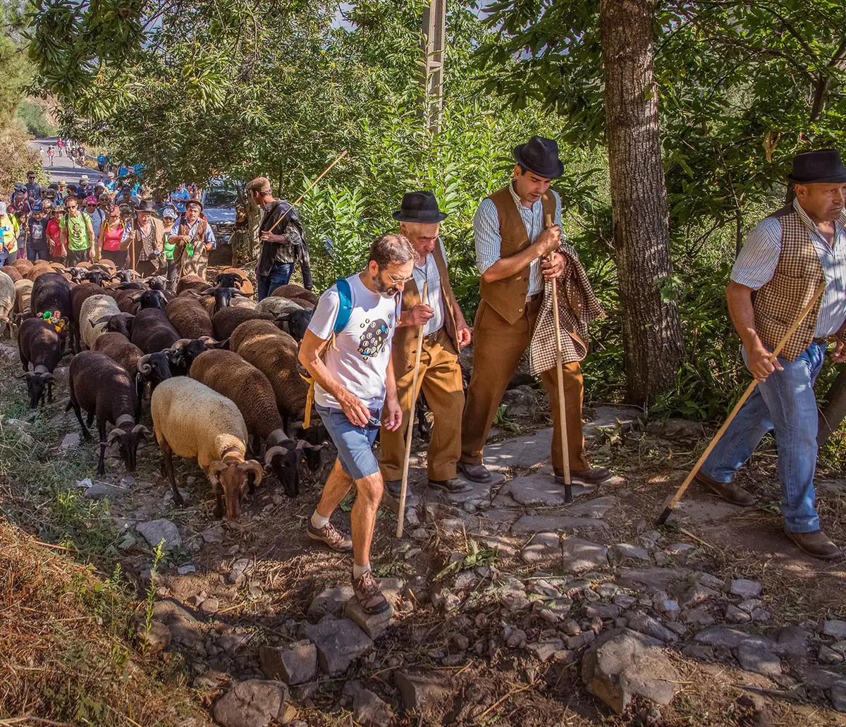 beira-interior-wine-villages-festas-do-chocalho-2-1.webp