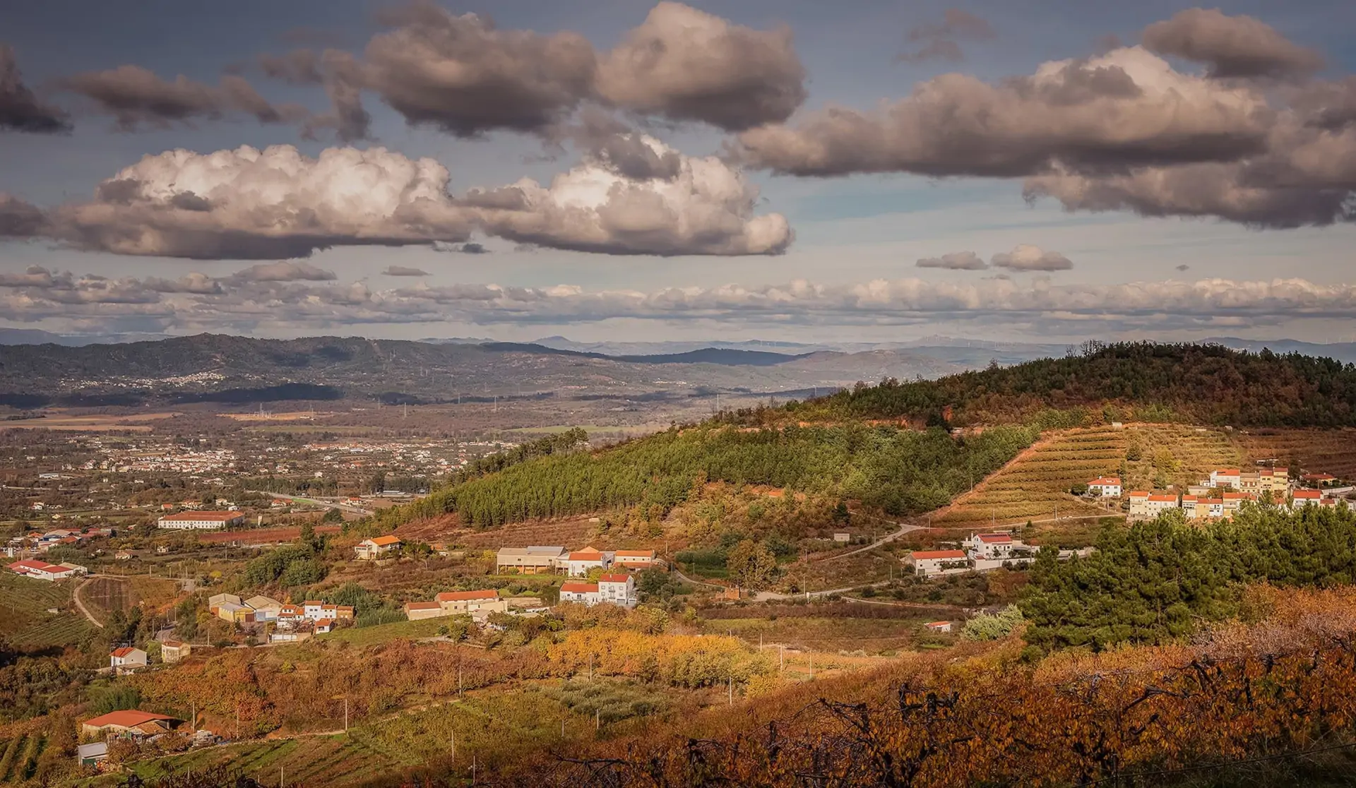 beira-interior-wine-villages-alcongosta-miguel-proenaa-2