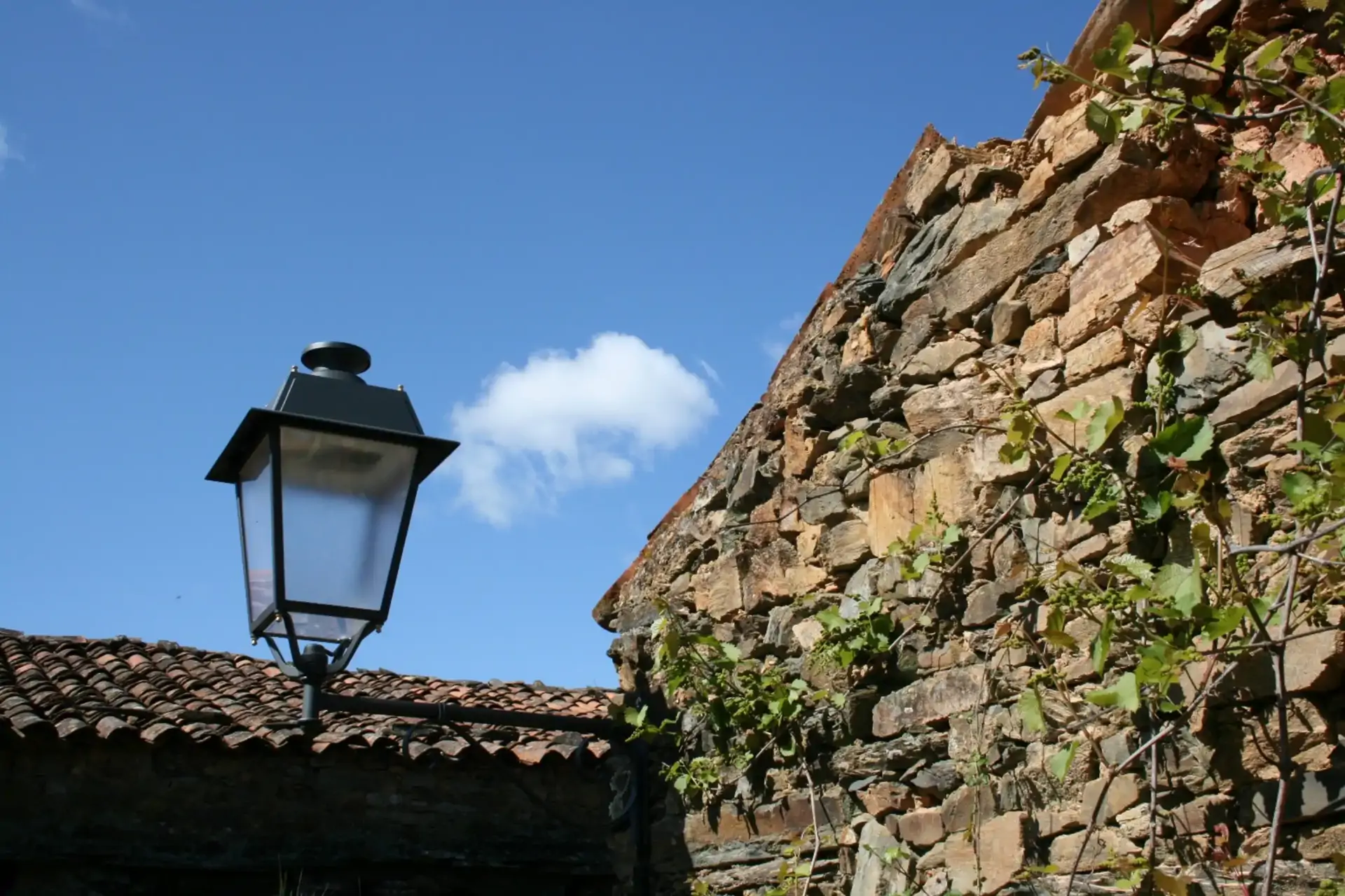 beira-interior-wine-villages-aldeia-de-figueira01-1