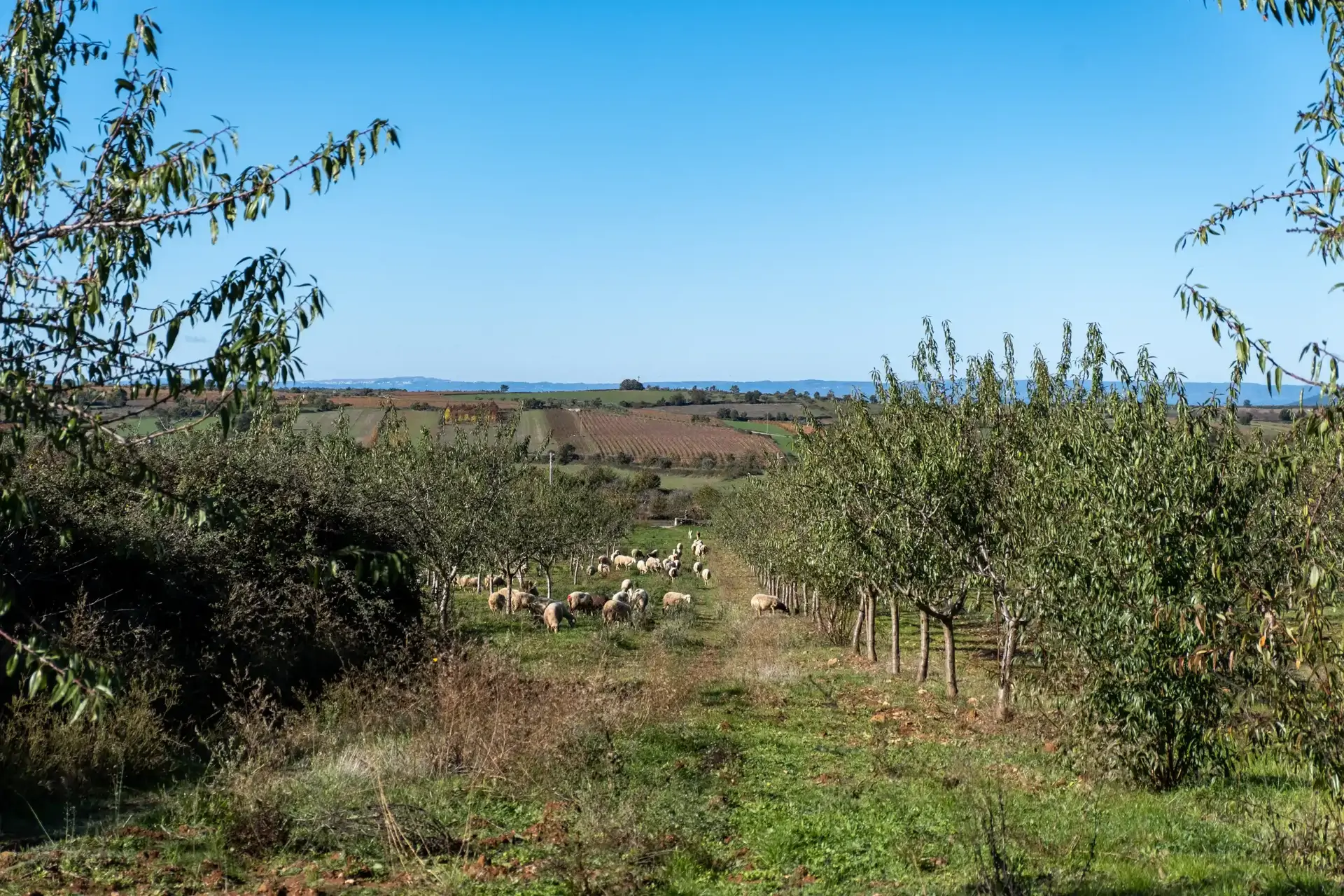 beira-interior-wine-villages-guarda