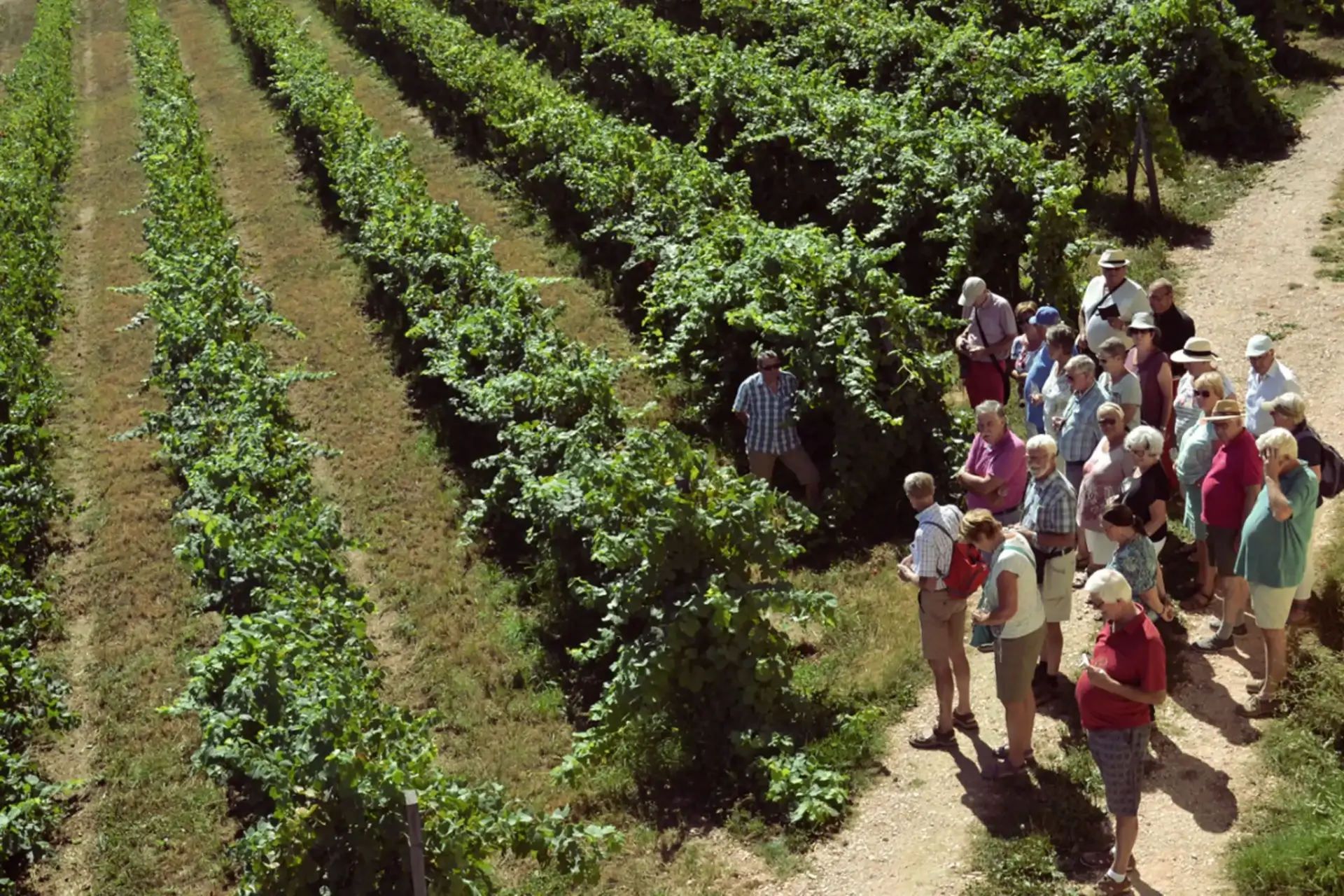 beira-interior-wine-villages-produtor-albergue-bonjardim-1