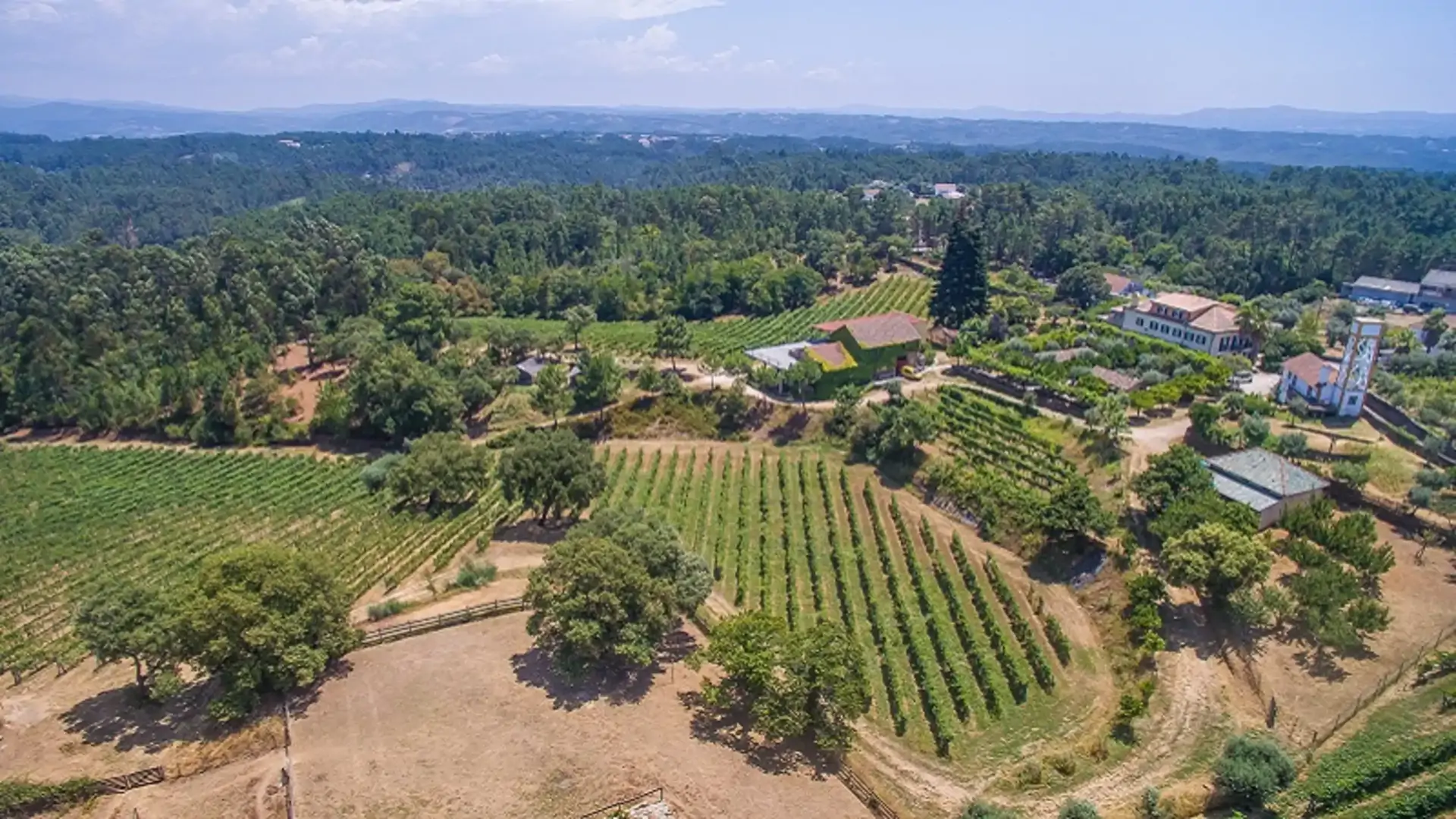 beira-interior-wine-villages-produtor-albergue-bonjardim