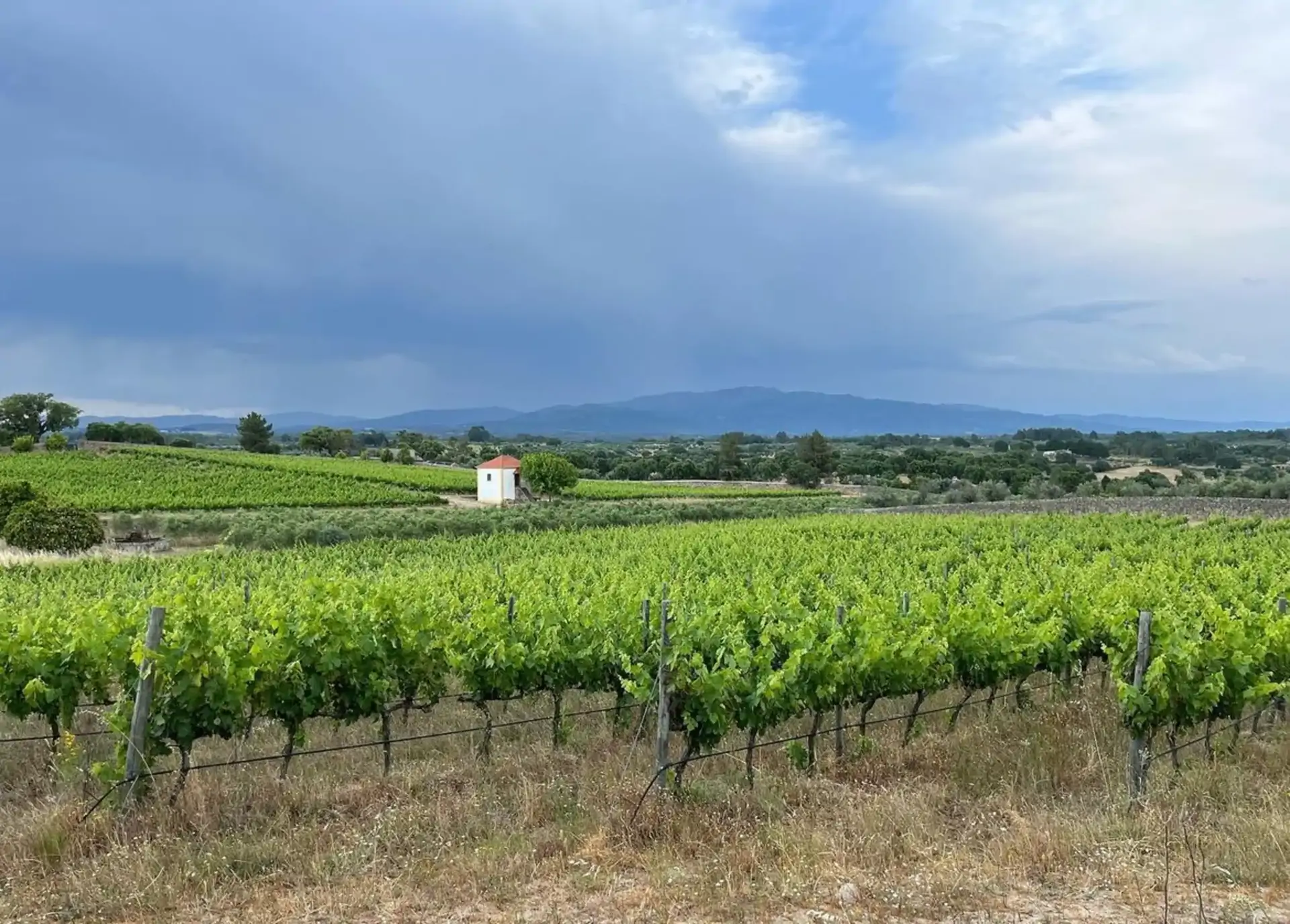 beira-interior-wine-villages-produtor-barroca-da-malhada-1