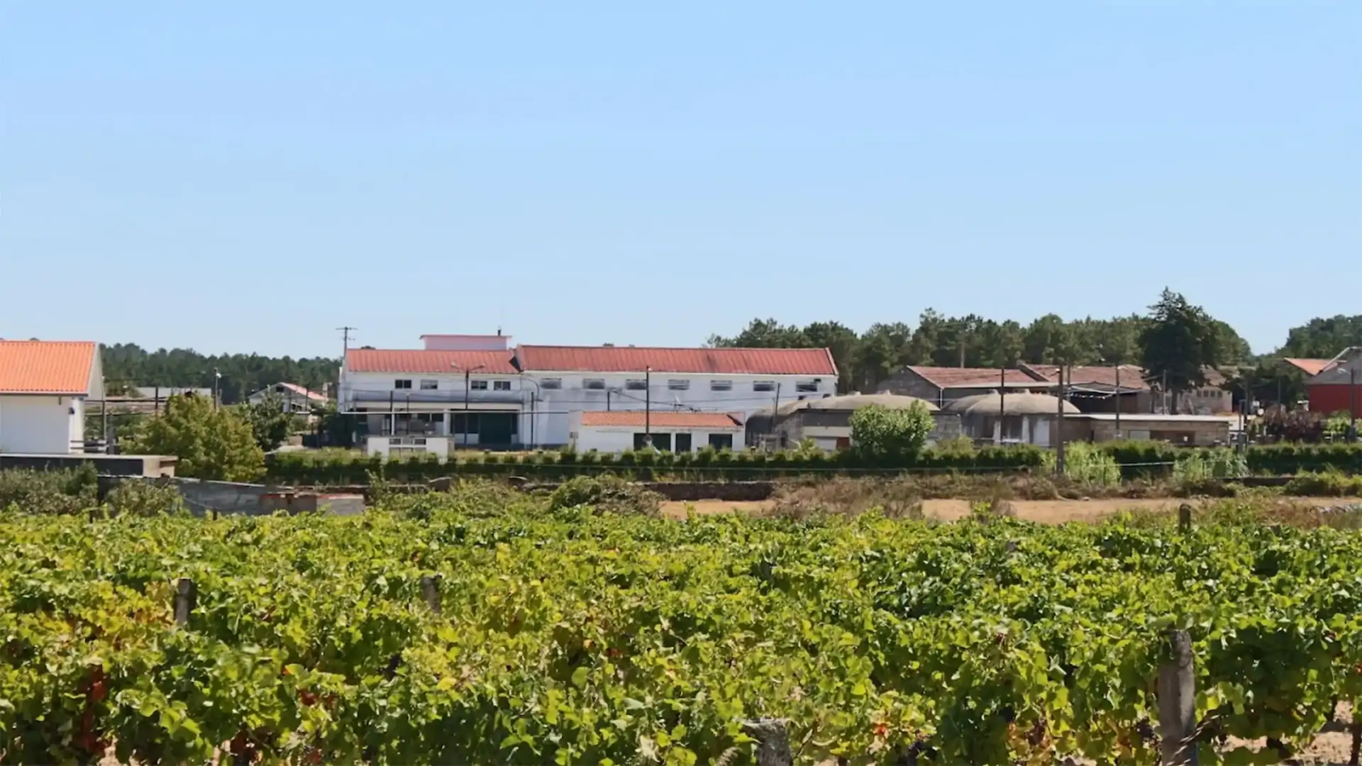 beira-interior-wine-villages-produtor-beira-serra-wines