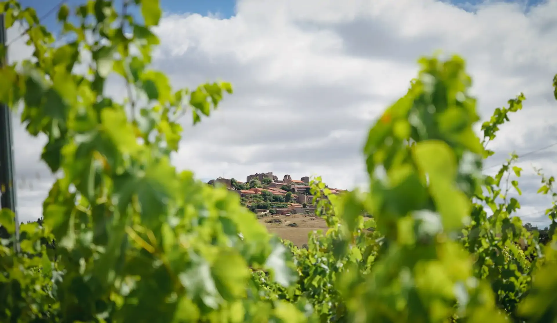 beira-interior-wine-villages-produtor-quinta-da-biaia