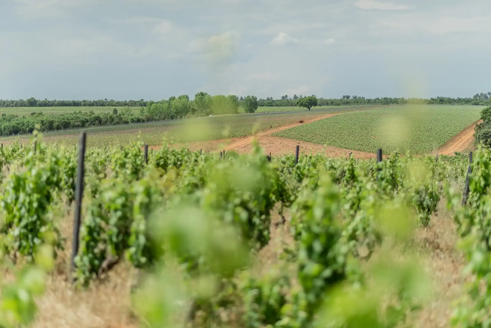 beira-interior-wine-villages-produtor-quinta-do-cardo-1