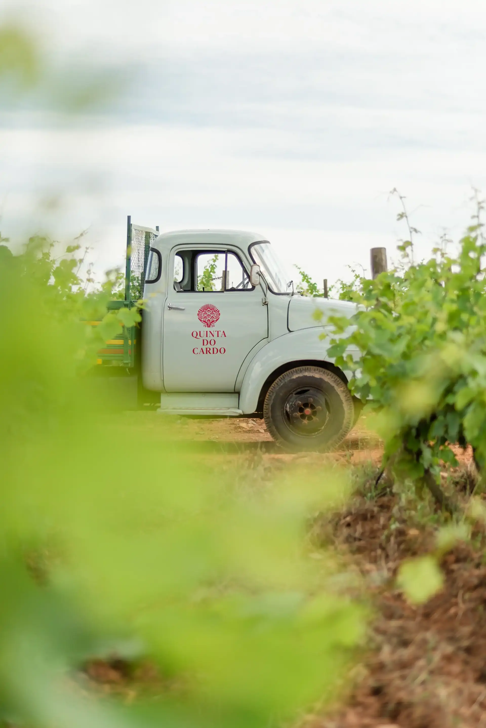 beira-interior-wine-villages-produtor-quinta-do-cardo