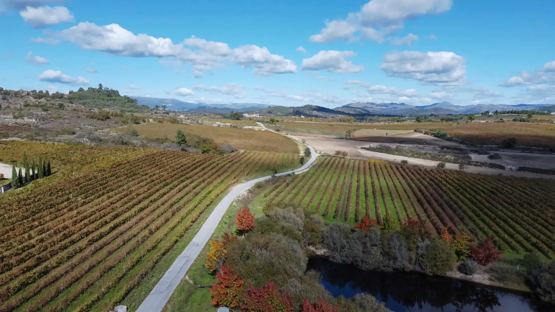 beira-interior-wine-villages-produtor-quinta-dos-termos-2-1