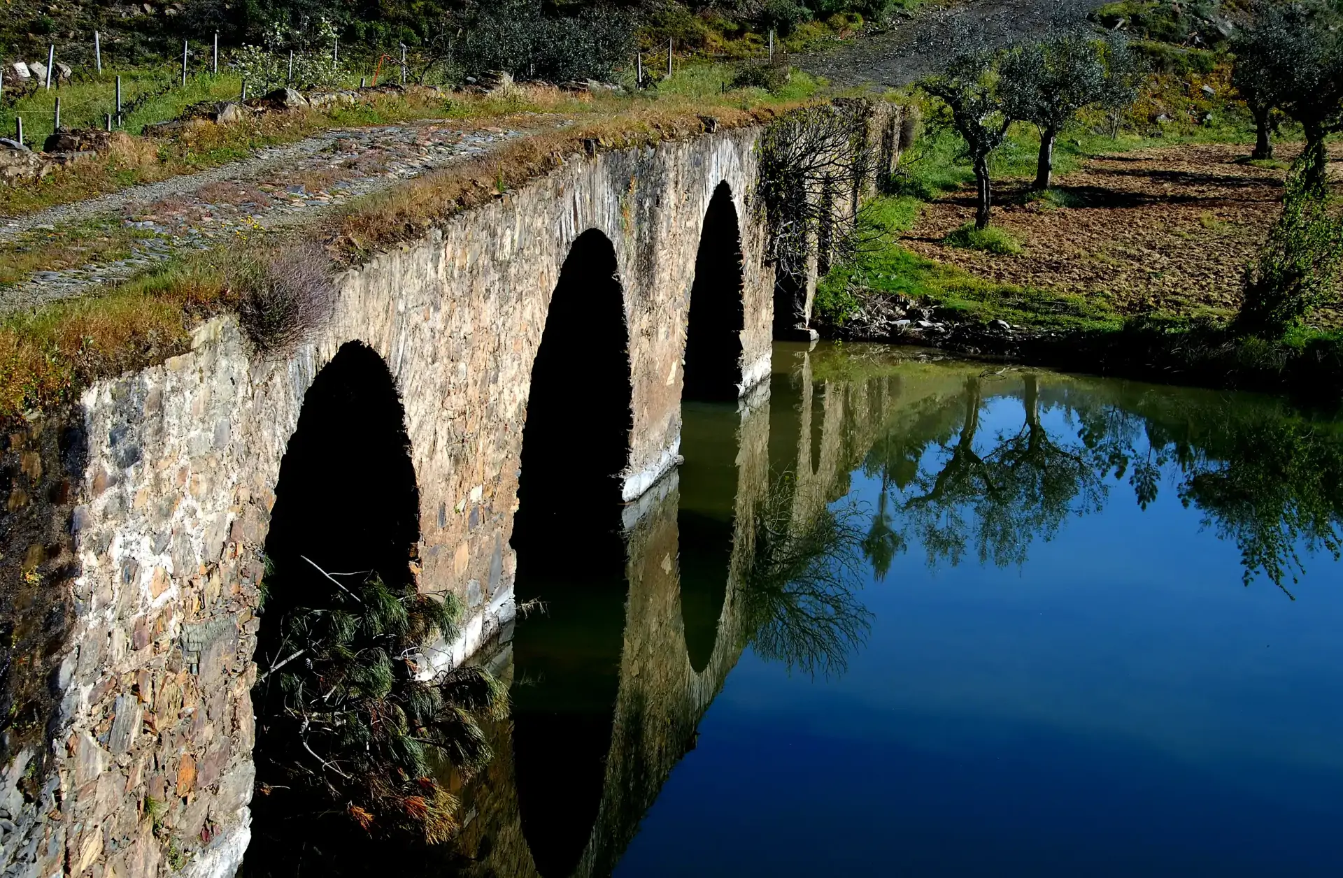 beira-interior-wine-villages-proencanova