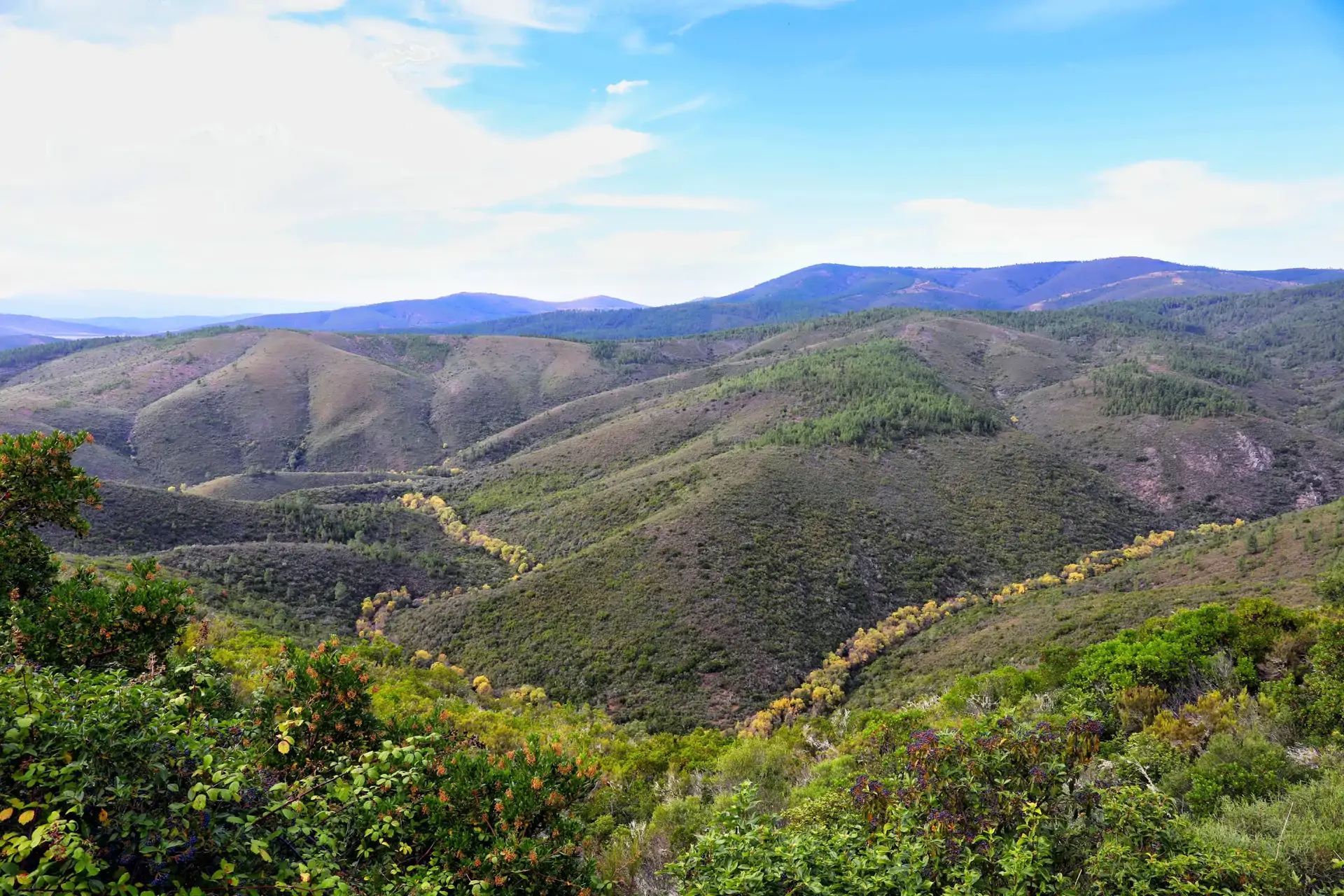 beira-interior-wine-villages-serra-da-malcata