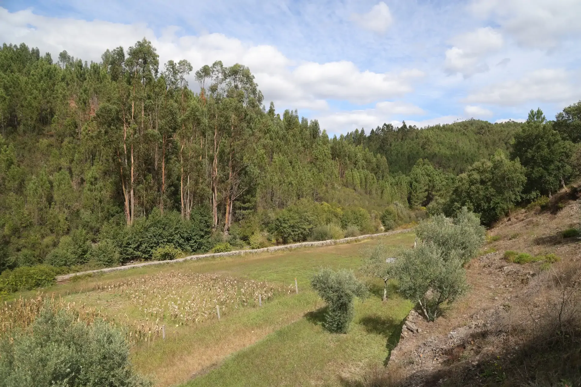 beira-interior-wine-villages-trilho-ribeira-da-isnaproencanova