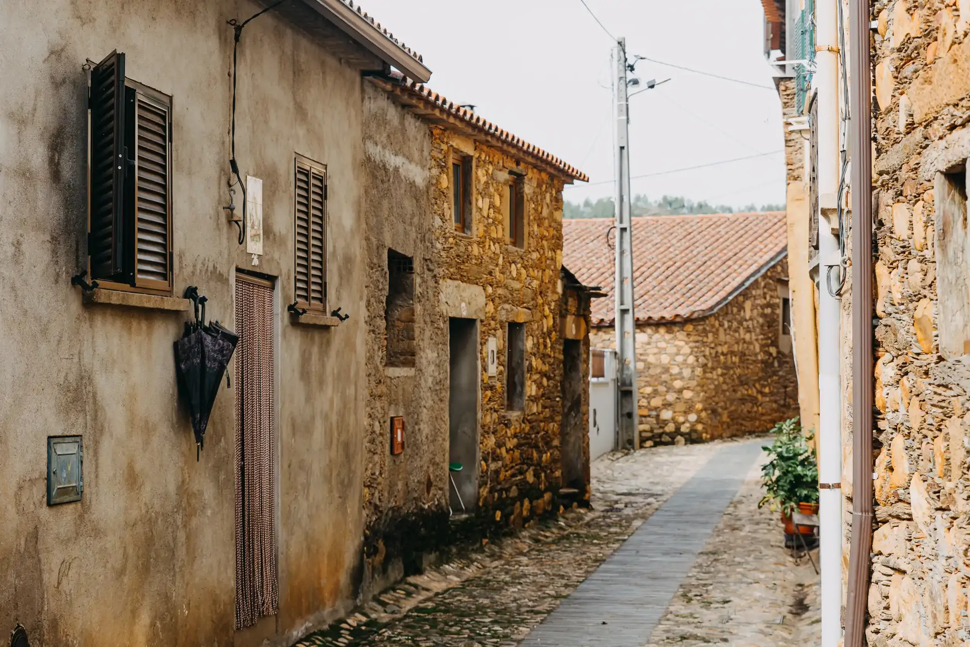 beira-interior-wine-villages-xisto-janeiro-de-cima