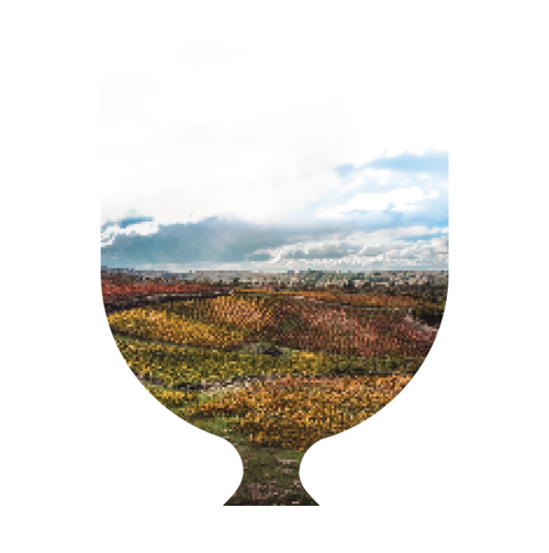 Gastronomía y Vinos